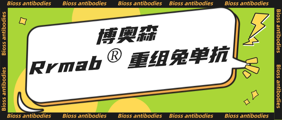 內參抗體